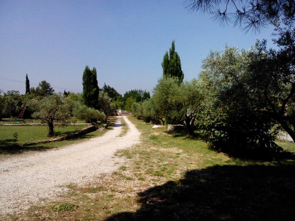 Mas Des Collines Panzió Fontvieille Szoba fotó